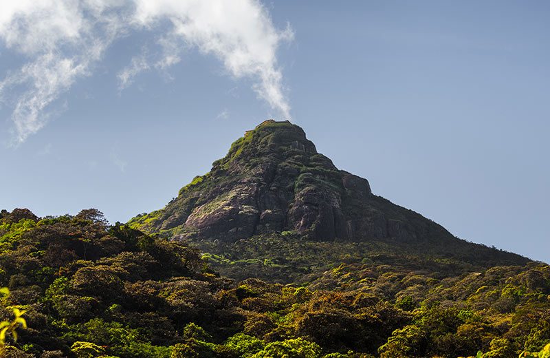 LSL_B2_Adams-Peak-2_800x520