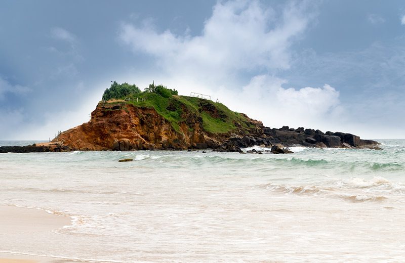 LSL_B2_Parrot-Rock_800x520