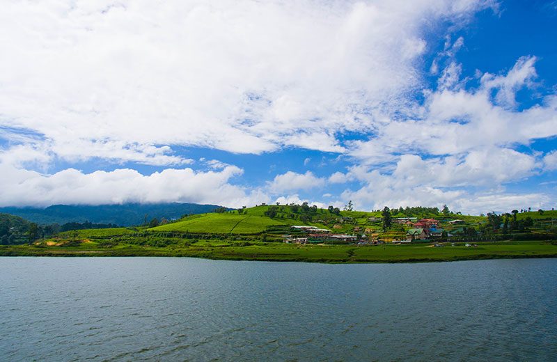 LSL_Cropped_Gregory-Lake_800x520