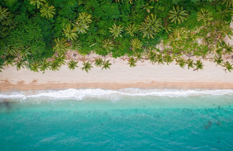 desktop-wallpaper-coast-palm-trees-ocean-water-beach-for-chromebook-pixel